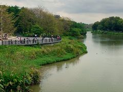 -海珠湖公园