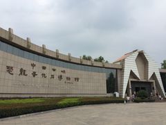 -中国西峡恐龙遗迹园