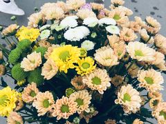 -秦美花卉(天朗·莱茵小城2期店)