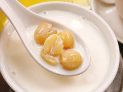 -澳洲牛奶公司(佐敦店)