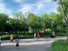-东郊湿地公园