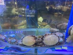 -晶渔坊·海鲜私房菜(东夷小镇店)