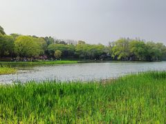 -茅家埠