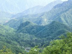 -大岭沟猕猴桃谷风景区