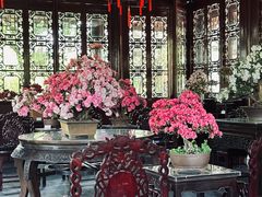 -上海醉白池公园