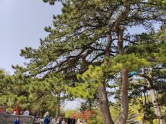 -妙峰山风景名胜区