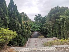 -三水森林公园