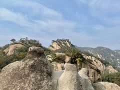 -大岭沟猕猴桃谷风景区