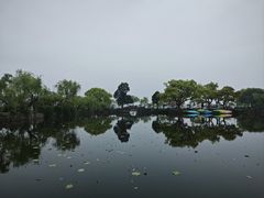 -无锡蠡湖国家湿地公园-蠡园