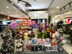 -巴黎春天(浦建店)