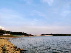 -深圳人才公园