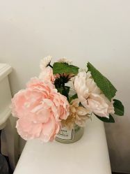 -美肤盾祛痘·问题肌头疗管理中心