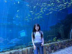 -华夏文旅海洋公园