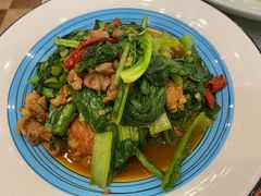 毛白菜炒肉-巴依老爷新疆美食(清华东门店)