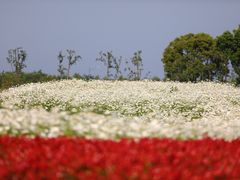 -苏州湾体育公园