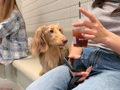 -Dogi&kiki Coffee(中心商务大厦店)