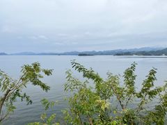 -千岛湖天屿景区