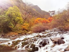 -叠溪松坪沟景区