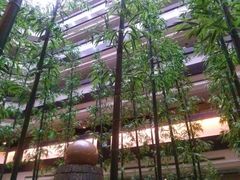 -嘉瑞酒店有限公司