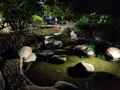 -思念果岭悦温泉