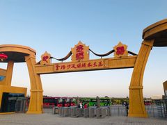 -金塔沙漠胡杨林景区