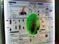 -上海大自然野生昆虫馆(东方明珠·爬宠昆虫探索中心)