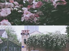-颐和路民国时期公馆风貌区