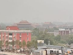 -喜悦烤鸭·新京菜(王府井店)