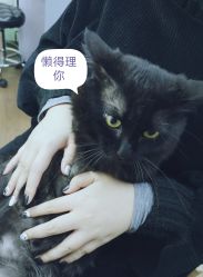 点击看大图 -青沐日式美甲美睫半永久