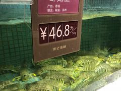水产区-徐记海鲜·宴会(大唐西市|丰庆店)