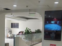 -舞蕾舞蹈(特长生校区)