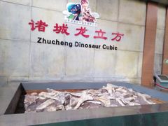 -诸城市恐龙博物馆