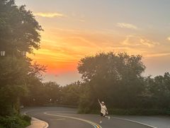 -句容茅山景区