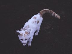 -重庆雨台山风景区