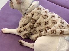 -怪兽屋·羊驼·猫咖·狗咖(俊华广场店)