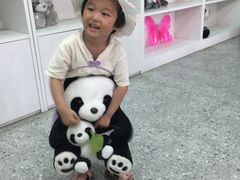 -泉州海丝野生动物世界