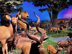 -国家自然博物馆