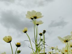 -上海滨江森林公园