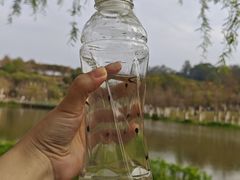 -东莞植物园