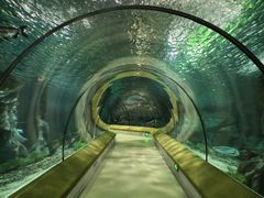 -福州罗源湾海洋世界旅游区