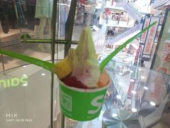 -Salud撒露欧洲冻酸奶(北苑上品店)