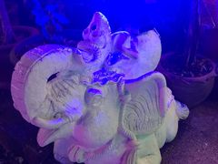 -Pakwan Restaurant & Bar