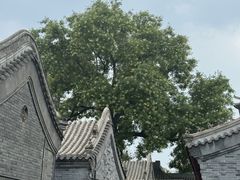 -保定直隶总督署博物馆