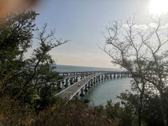 -星海湾跨海大桥