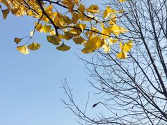 -四川大学(江安校区)