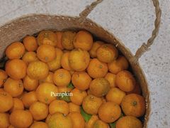 -肥朵食堂(带梦胡同店)