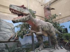 -国家自然博物馆