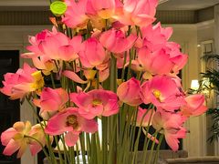 -福建鲤鱼洲酒店