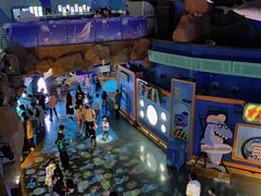 -烟台海昌鲸鲨海洋公园