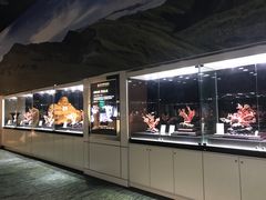 -绮丽珊瑚博物馆(台东店)
